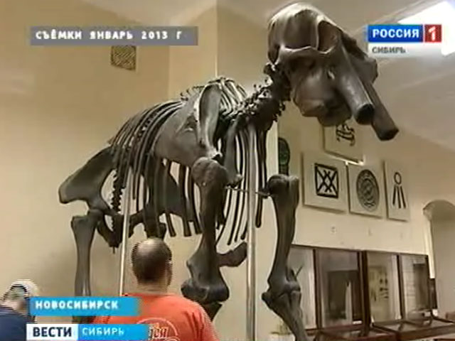 ���������� �������������� ����� ������� ����� ��� ������� ��������� ��������