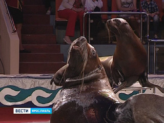 ����������� ���� ��������� �������� ����� ����������