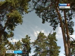 ����� 130 ��� ����� �� �������� ������� ������� ���� ������