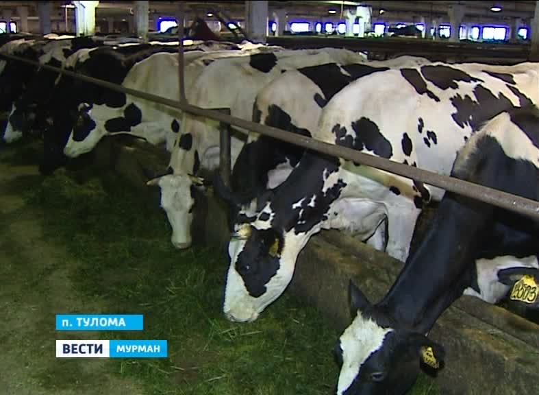 ������������ ������ � ���������. ������������� ������ ���������� �������� � ���������� ������