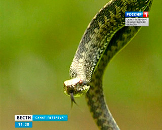 ������� ������������ ������ �� �����