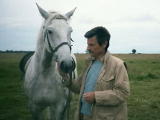 ���������� �� ������: ����������� ������� ����������� �� 80 ���