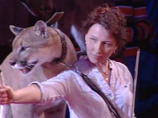 � ����������� ����� - ��������